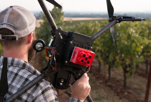Palestra online mostra como passar dados de uma câmera multiespectral ao campo Palestra online mostra como passar dados de uma câmera multiespectral ao campo