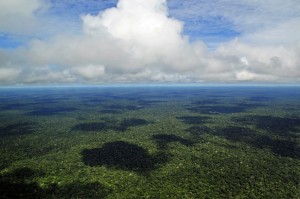 Vídeo destaca tecnologias de ponta a serviço das florestas brasileiras Vídeo destaca tecnologias de ponta a serviço das florestas brasileiras